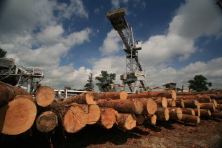 Депутаты Госдумы приняли в первом чтении законопроект, направленный на цифровую трансформацию лесной отрасли