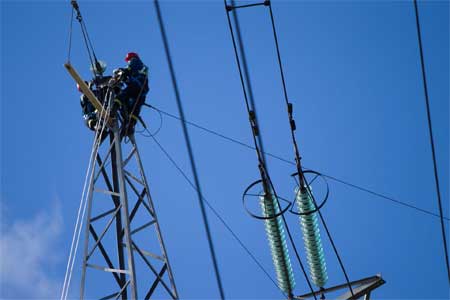 В этом году специалисты «Россети Янтарь» отремонтировали более тысячи километров линий электропередачи