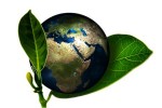 «Москокс» завершает реализацию первого этапа экологической программы