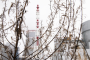 Росатом окажет услуги по технической поддержке эксплуатации АЭС «Тяньвань» (Китай)