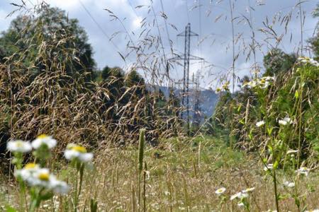 Россети Кубань» повышает надежность энергоснабжения отдаленных поселков в предгорных районах Кубани