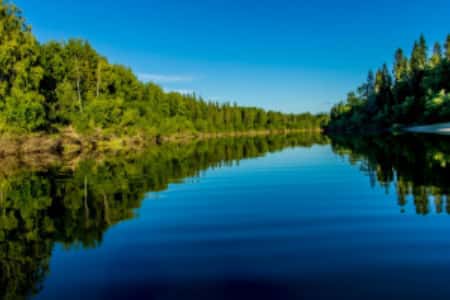 Семь регионов России получат дополнительные деньги на расчистку рек и озёр в рамках нацпроекта «Экология»