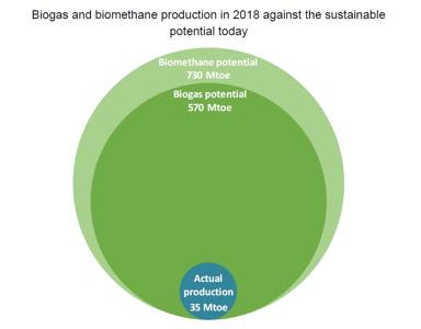 Биогаз и Биометан: мировой рынок и перспективы роста