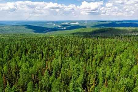 «Роснефть» провела научно-практический семинар в рамках реализации лесоклиматического проекта в Красноярском крае