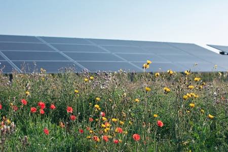 Солнечная электростанция на заболоченных землях – уникальный проект в Дании