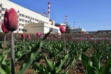 Ростовская АЭС представила отчет об экологической безопасности за 2021 год