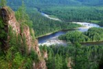 Госдума рассмотрела изменения в Лесной кодекс РФ