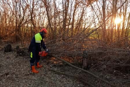 «Россети Юг» расчистили 7,8 га охранных зон воздушных линий на юге Ростовской области