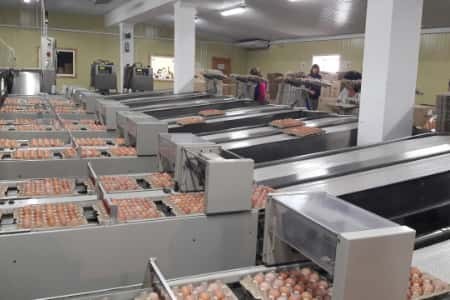 «Россети Юг» подключили мелиоративную систему крупной птицефабрики в Волгоградской области