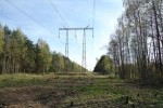 «Россети ФСК ЕЭС» расчистит 3 тыс. гектаров просек ЛЭП в Поволжье