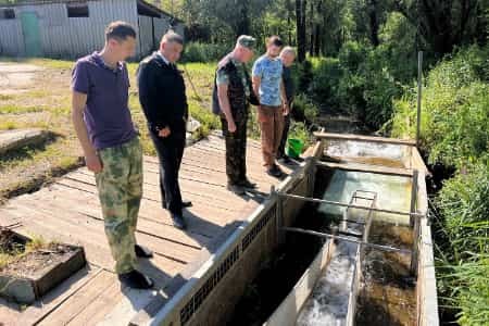 Разрез «Пермяковский» помогает восполнять водные биологические ресурсы Кузбасса