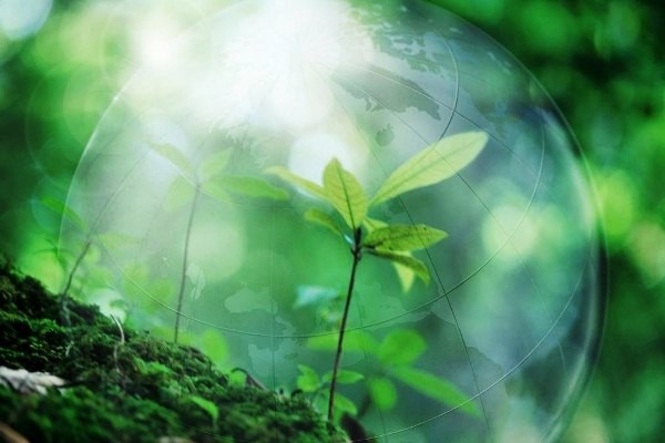 «Архэнерго» подключило к электросетям предприятие по производству биотоплива