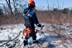 Энергетики ДРСК чистят и расширяют просеки ЛЭП в Приморье