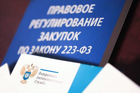 Госдума одобрила в третьем чтении административную ответственность заказчика за срыв сроков оплаты по договорам с субъектами МСП по 223-ФЗ