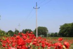 Юго-Западный филиал «Россети Кубань» обеспечил электроэнергией 1800 новых потребителей