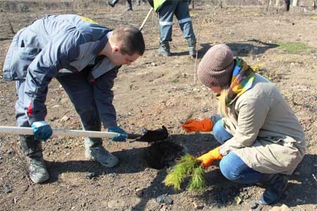 АО «СУЭК-Кузбасс» высадит 14,5 тысяч деревьев