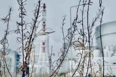 Ленинградская АЭС: энергоблок №4 будет выведен в плановый текущий ремонт
