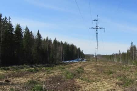«Россети ФСК ЕЭС» расчистит более 166 гектаров трасс ЛЭП в Мурманской области