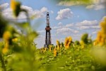 «Юганскнефтегаз» направит около 10 млрд рублей на рекультивацию земель до 2024 года