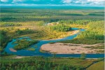 «Колмар» потратит на экологию в 2019 году больше миллиарда рублей
