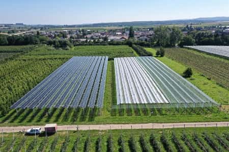 Солнечная энергия для углеродно-нейтрального выращивания яблок – проект в ФРГ