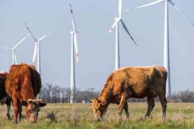 АО «НоваВинд» и ГК «ЭкоНива» заключили соглашение о поставке «зеленой» электроэнергии