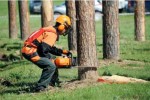 Био в ресурс: в России начнут отапливать дома отходами деревообработки