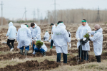 Миллион деревьев и карбоновые полигоны: как леса помогают бороться с глобальным потеплением