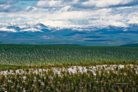 Минприроды России планирует создать в Якутии национальный парк «Момский»