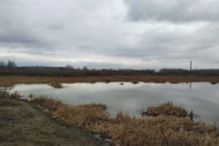 В столице Чеченской Республики в этом году начнут расчищать Сунженское водохранилище