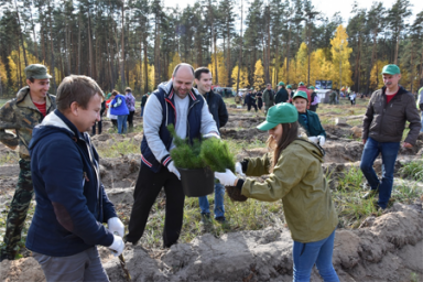Лесной тренд: волонтёры всероссийской акции «Сохраним лес» высадили более 70 миллионов деревьев и установили рекорд