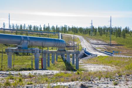 АО «Транснефть – Сибирь» ввело в эксплуатацию два мостовых перехода на технологическом проезде вдоль нефтепровода Заполярье - Пурпе