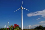 «Калининградская генерирующая компания» приступила к демонтажу ветропарка в Куликово
