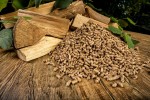 Япония наращивает объем импорт древесного биотоплива