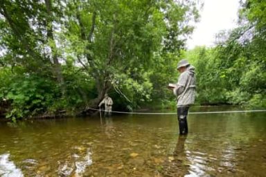 Экологи начали проверку бассейна реки Углегорки