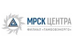 В Тамбовэнерго введен режим повышенной готовности в связи с ухудшением погоды в регионе