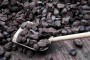 В КуZбассе стартовала образовательная программа Международного угольного форума