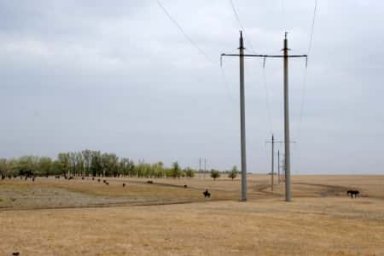 В Оренбуржье к электрическим сетям присоединили объекты сельского хозяйства