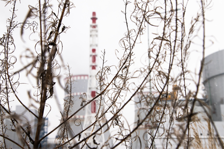 Энергоблок №3 Балаковской АЭС включен в сеть после досрочного завершения планового ремонта