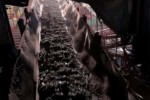 На шахте «Алардинская» запустили самую длинную в Распадской угольной компании лаву