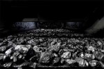 30 лет назад на Уртуйском угольном разрезе Приаргунского ПГХО  был поднят первый ковш вскрышных пород