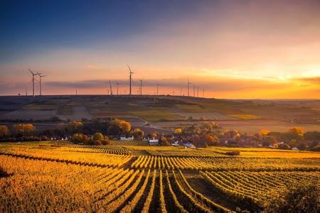 АО «НоваВинд» обеспечило поставки ветряной электроэнергии для фабрики «Нестле Пурина ПетКер»
