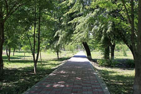 До конца года в Ленинградском и Динском районах Краснодарского края благоустроят пять общественных территорий