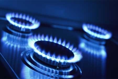 В ГД обсудили вопросы газификации субъектов РФ с использованием альтернативных источников энергии