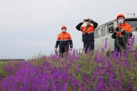 Более 3 млрд рублей направила «Россети Кубань» в 2021 году на ремонтную программу