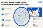 «Газпромнефть-Ноябрьскнефтегаз» посадил 1,4 млн деревьев в ЯНАО и ХМАО