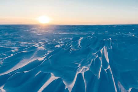 «Газпром нефть» вошла в состав Арктического экономического совета