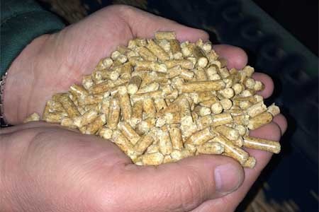 Красноярский край и Segezha Group будут сотрудничать в сфере биоэнергетики