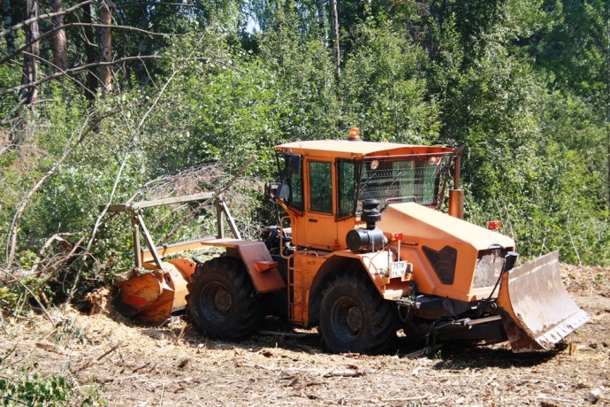 «Россети Центр и Приволжье» реализуют программу по расчистке просек воздушных линий электропередачи в Удмуртии