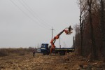 В мордовском филиале «Россети Волга» завершили расчистку трасс ЛЭП